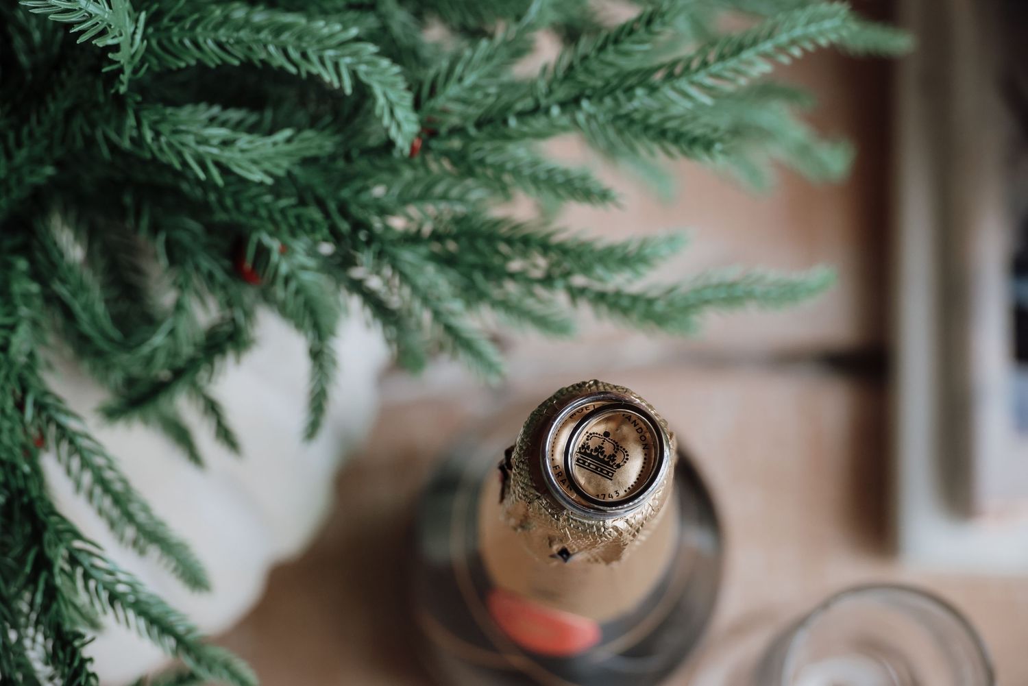 Close-up view of fresh green pine branches with soft bokeh background in natural light.