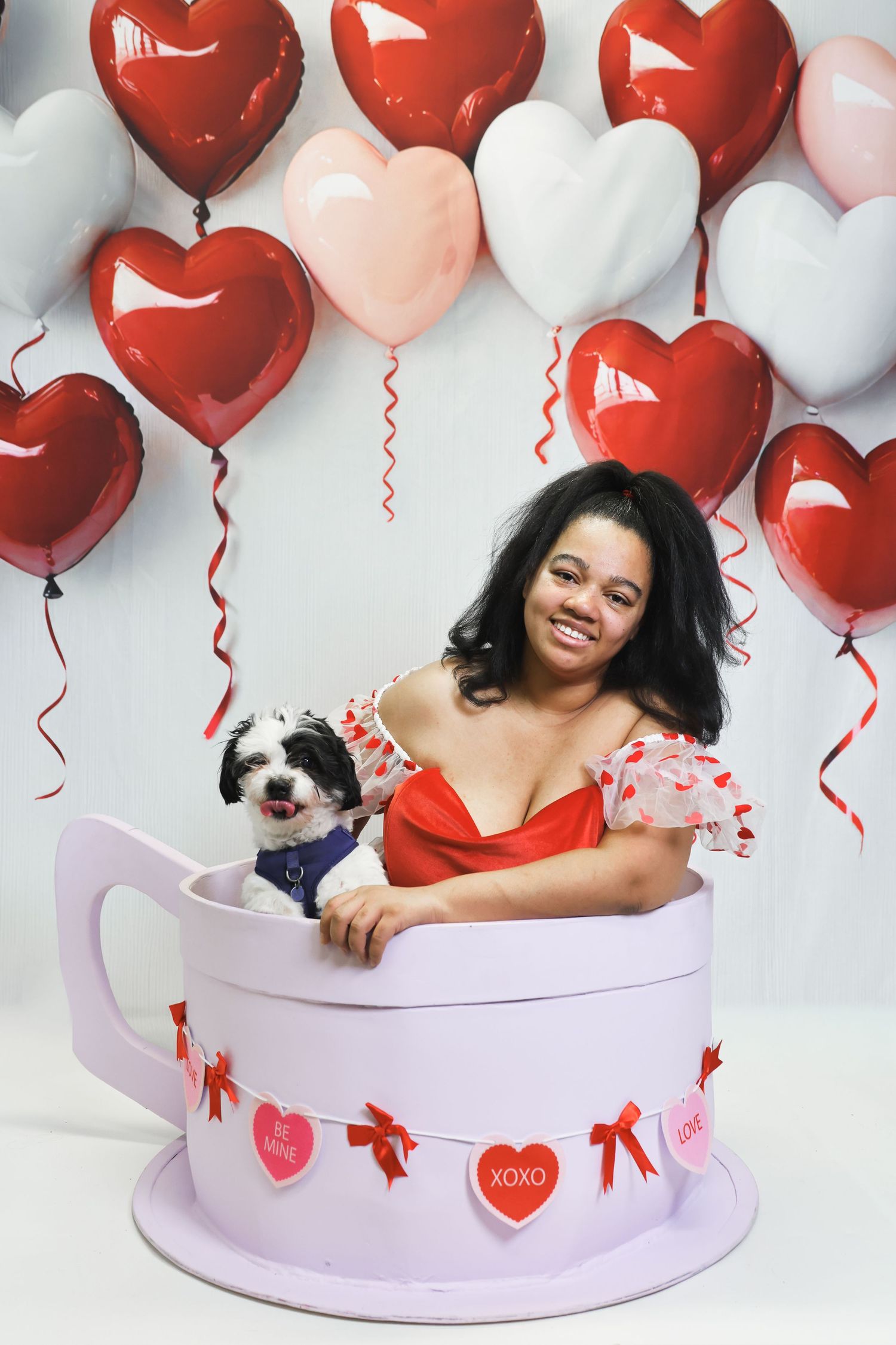 Valentine's day themed photo with heart balloons and a small dog in a blue outfit sitting in a large decorative teacup.