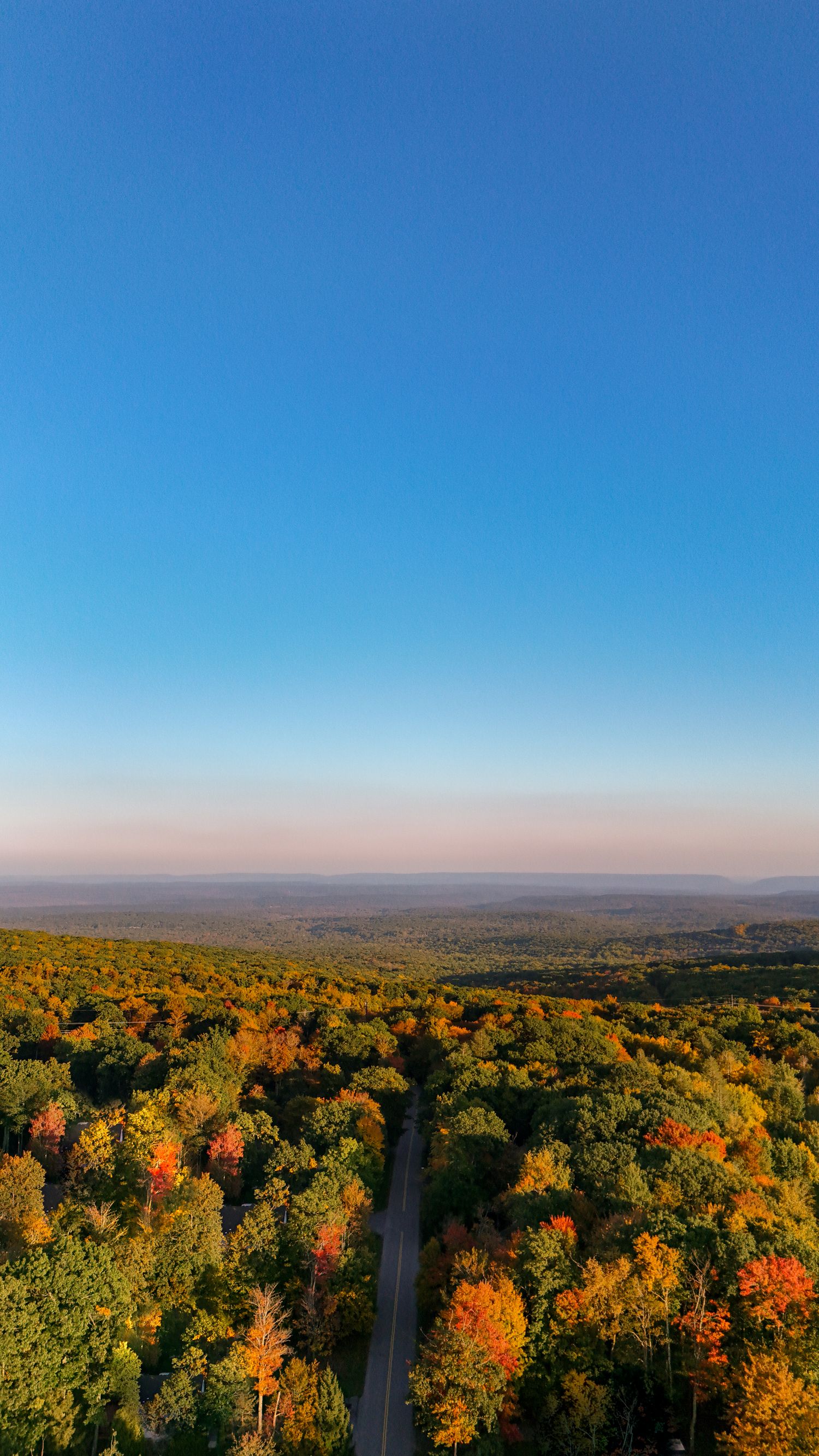 Aerial view of a winding road through vibrant autumn forest with colorful foliage under a clear blue sky.