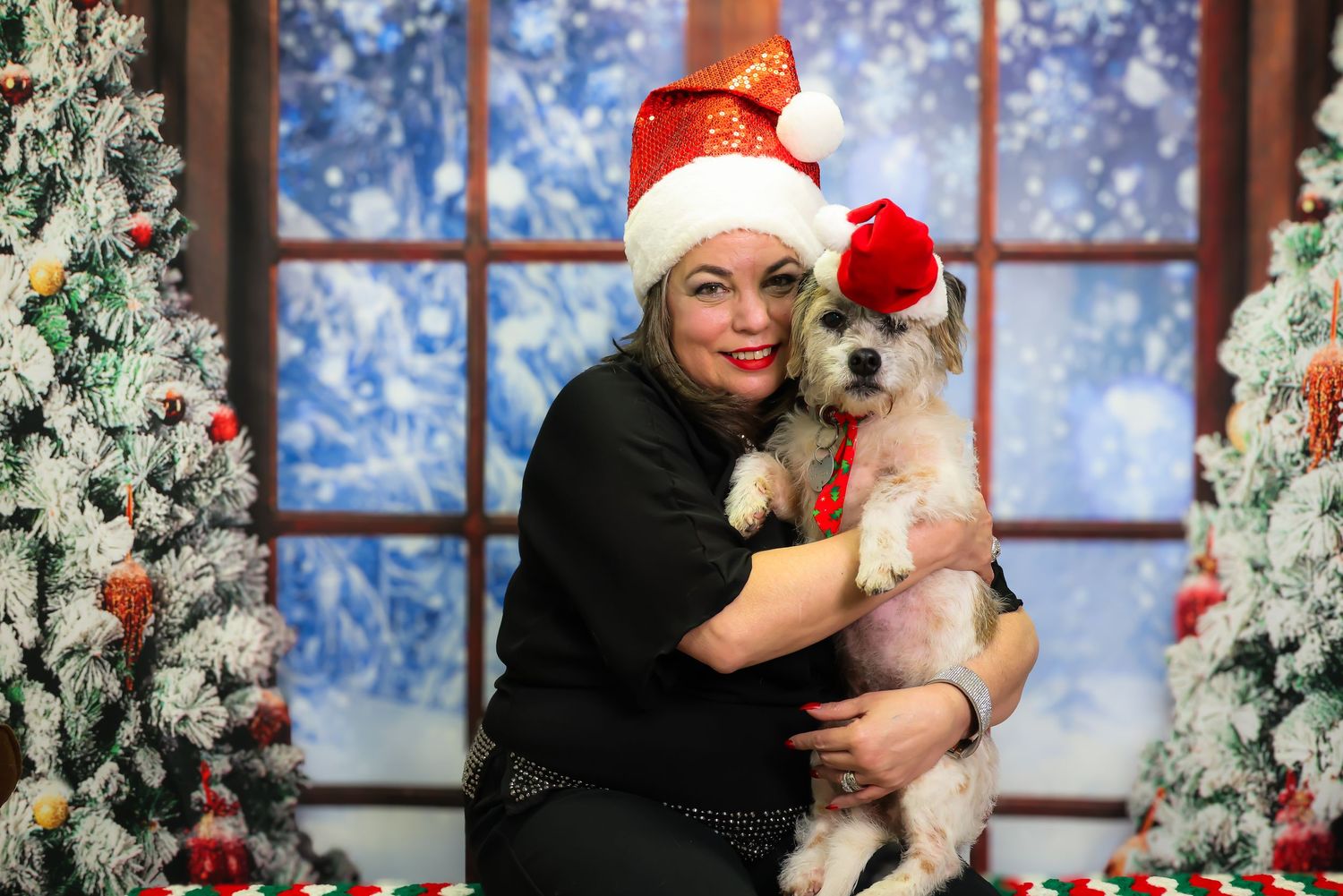 A person in a Santa hat poses with a white dog in front of a festive Christmas tree and snowy window backdrop.