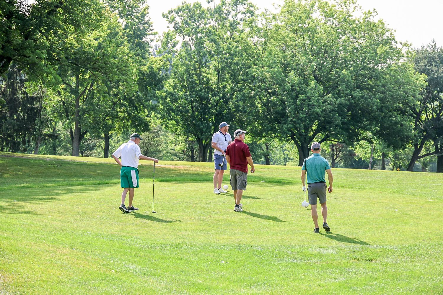 Four golfers walking on a lush green golf course fairway surrounded by trees on a sunny day.