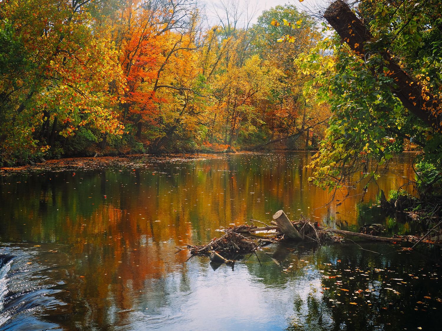 Tranquil autumn lake reflects vibrant orange and red foliage along tree-lined shore during fall season.