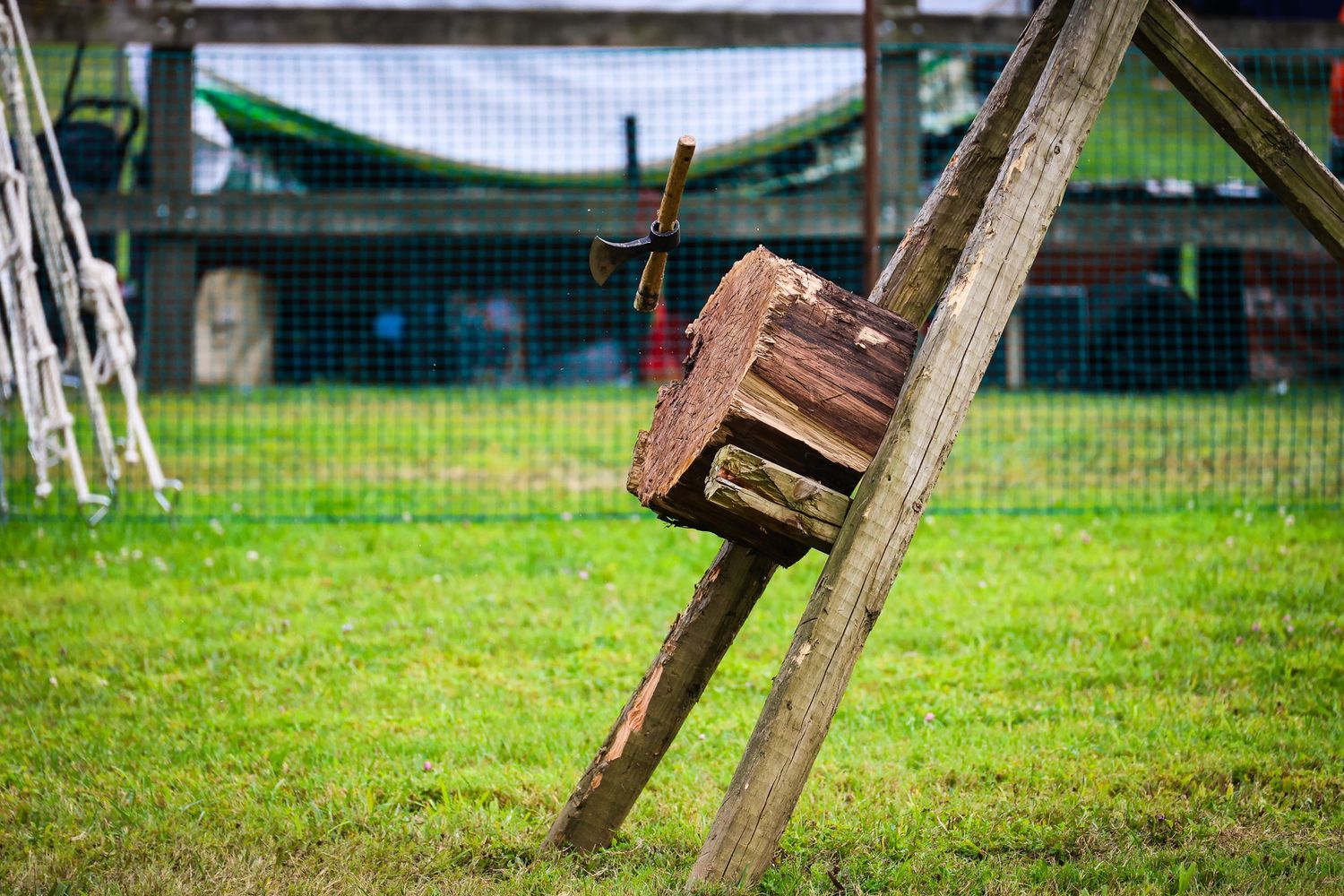 A wooden ladder leans against a grassy slope in a backyard setting with trees visible in the background.