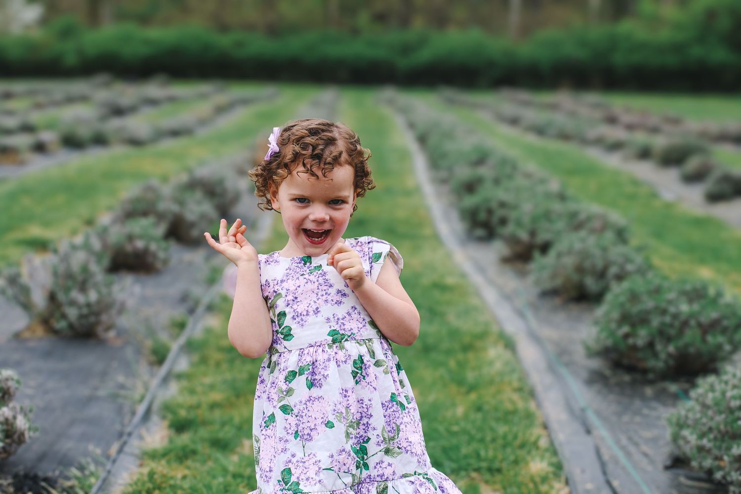 A child in a floral dress plays and laughs while exploring a lavender garden on a sunny summer day.