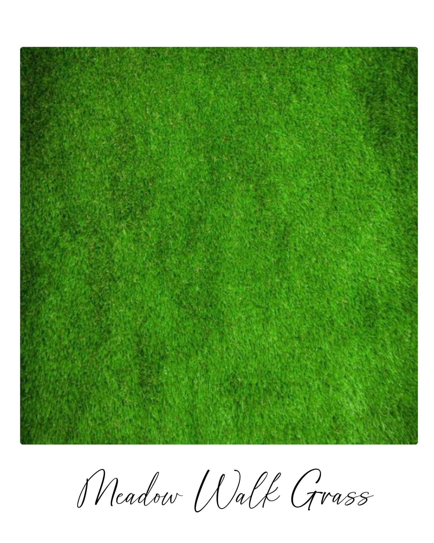 Lush green meadow grass texture background with dense natural growth pattern.