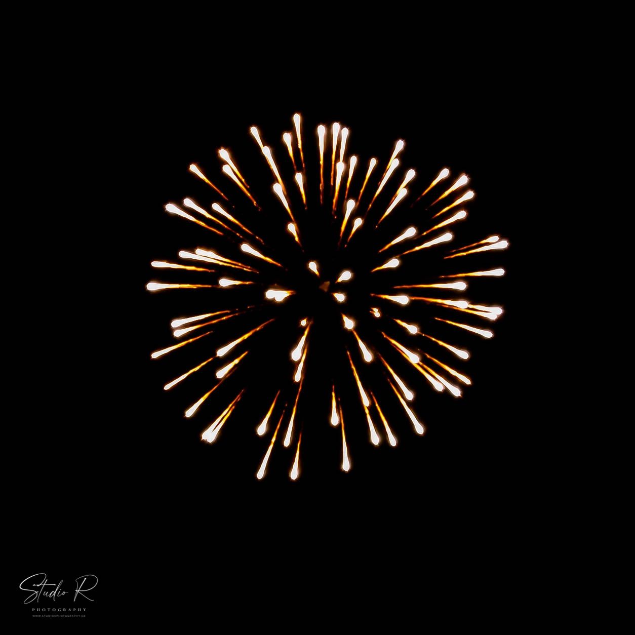 Golden fireworks burst against a dark night sky, captured in a stunning long-exposure photograph by Studio R Photography.
