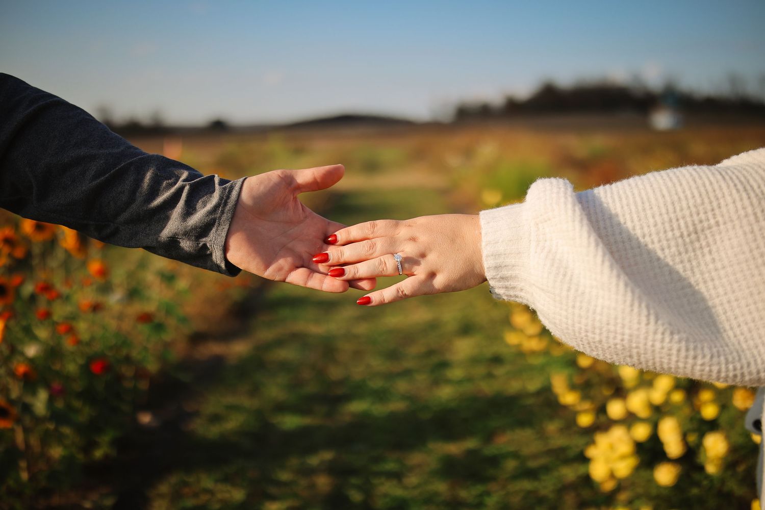 Two hands reach towards each other across a field of vibrant wildflowers at sunset.