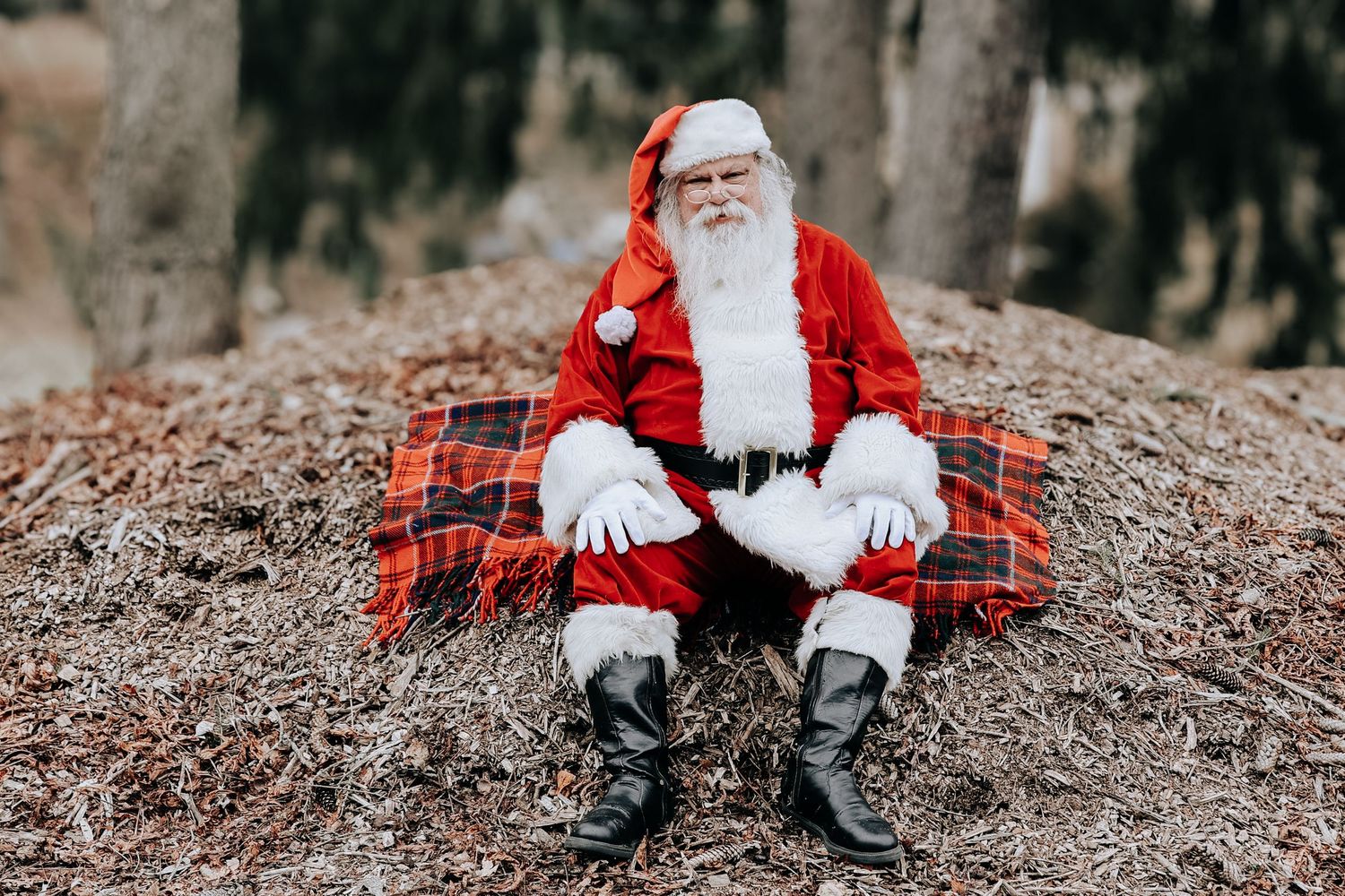 A figure in traditional red and white holiday attire sits on a fallen tree trunk in a forest setting.