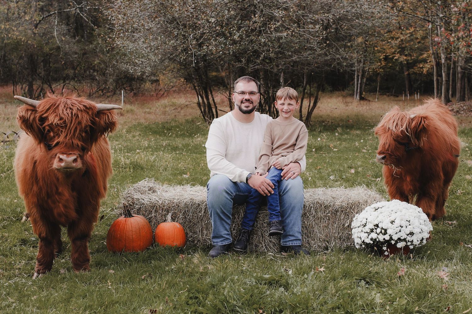 A collage of fall themed photos featuring Highland cows, pumpkins, and autumn scenery.