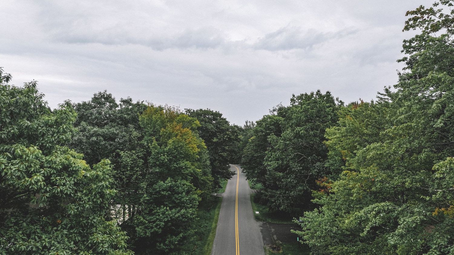 A straight two-lane road with yellow center lines stretches into the distance, flanked by lush green trees under cloudy skies.