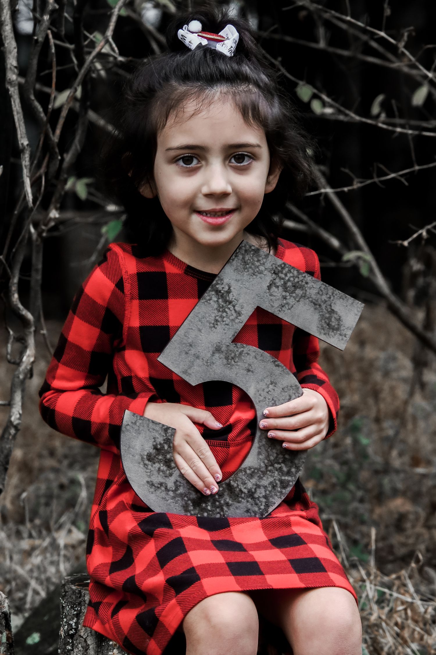 A child in a red buffalo plaid dress holds a decorative letter against a dark natural background.