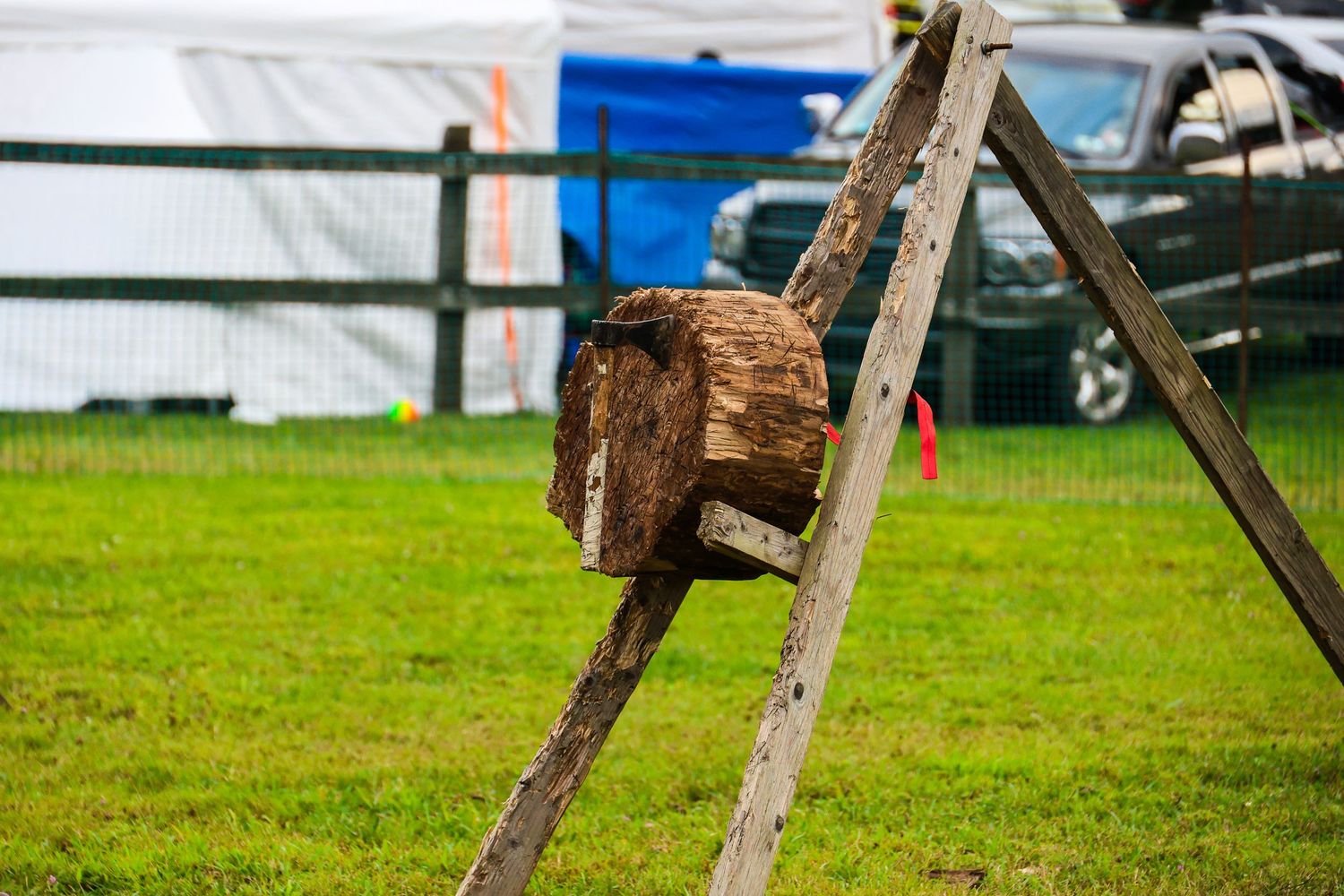 Rustic wooden fence posts line up in a row against a green grassy field on a sunny day.