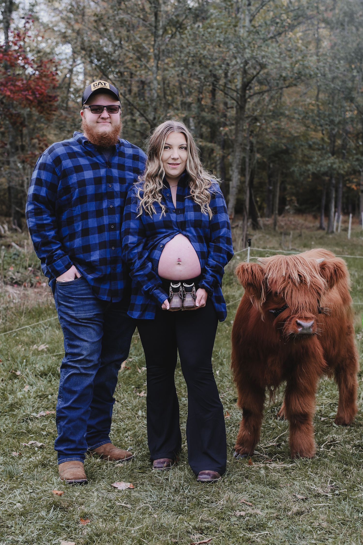 A couple in matching blue flannel shirts stand with a fluffy Highland cow in an autumn field during a maternity photoshoot.