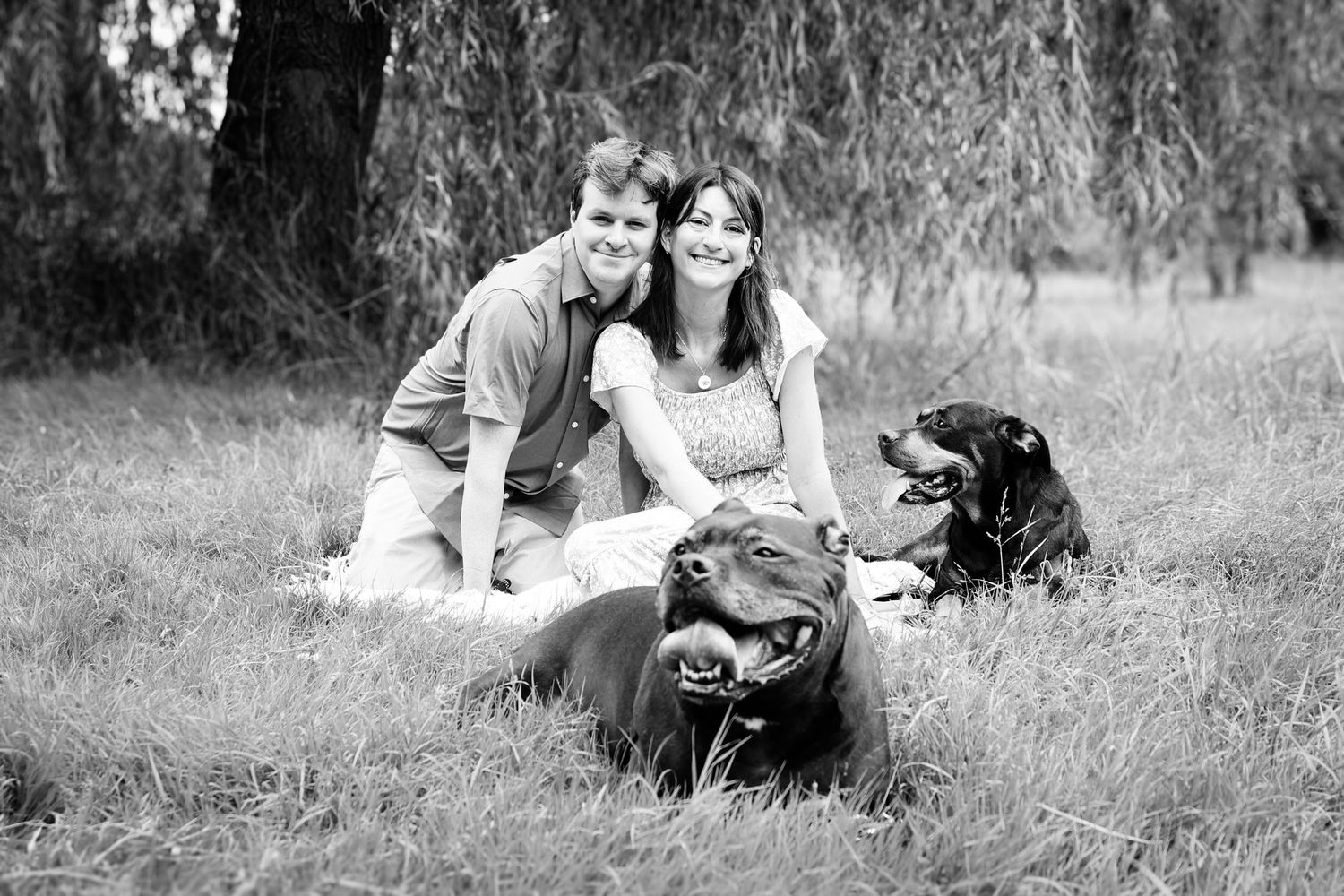 A series of black and white photographs showing people relaxing outdoors in a grassy meadow with their dog.