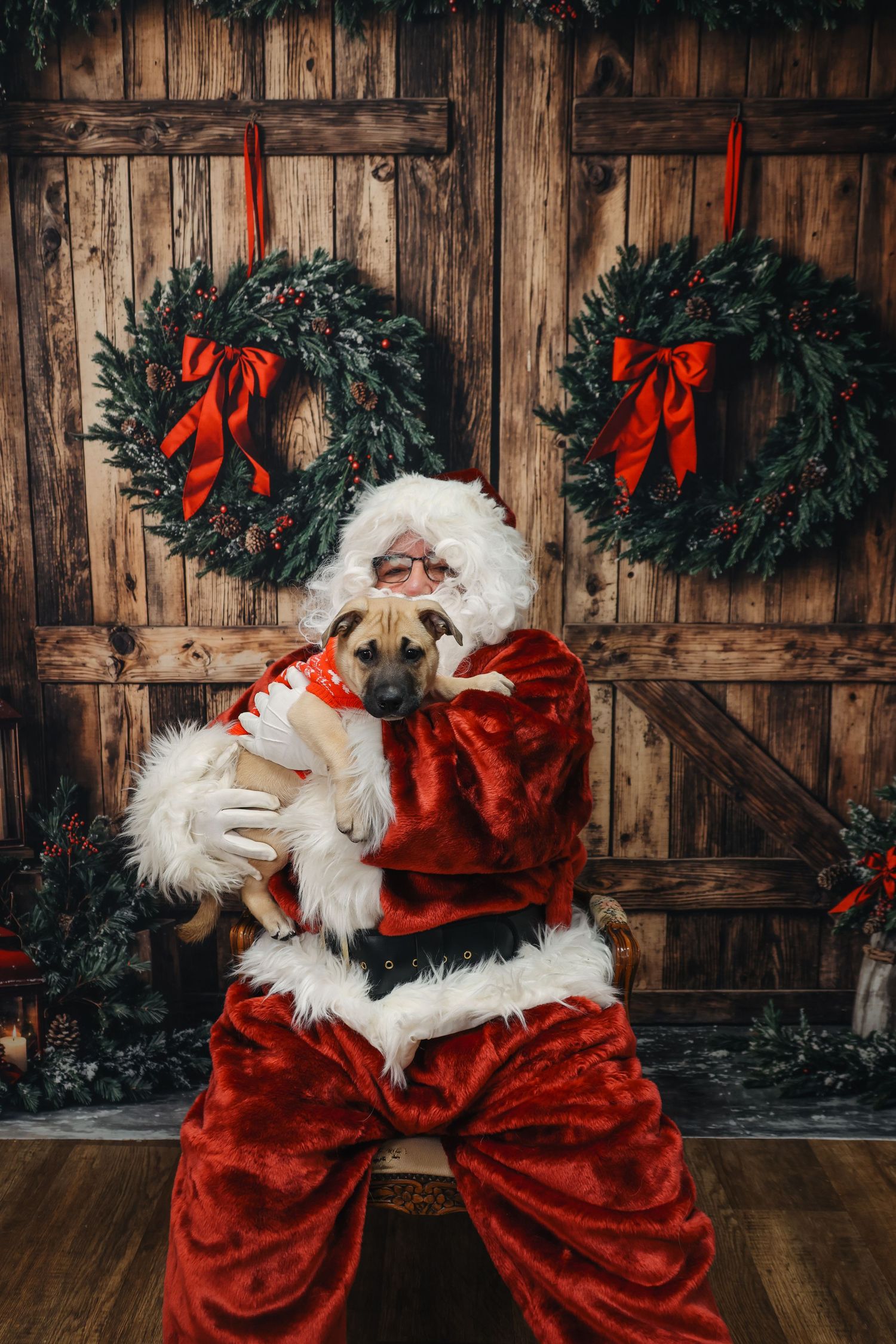 A festive holiday scene with Christmas wreaths adorned with red bows hanging on rustic wooden walls.