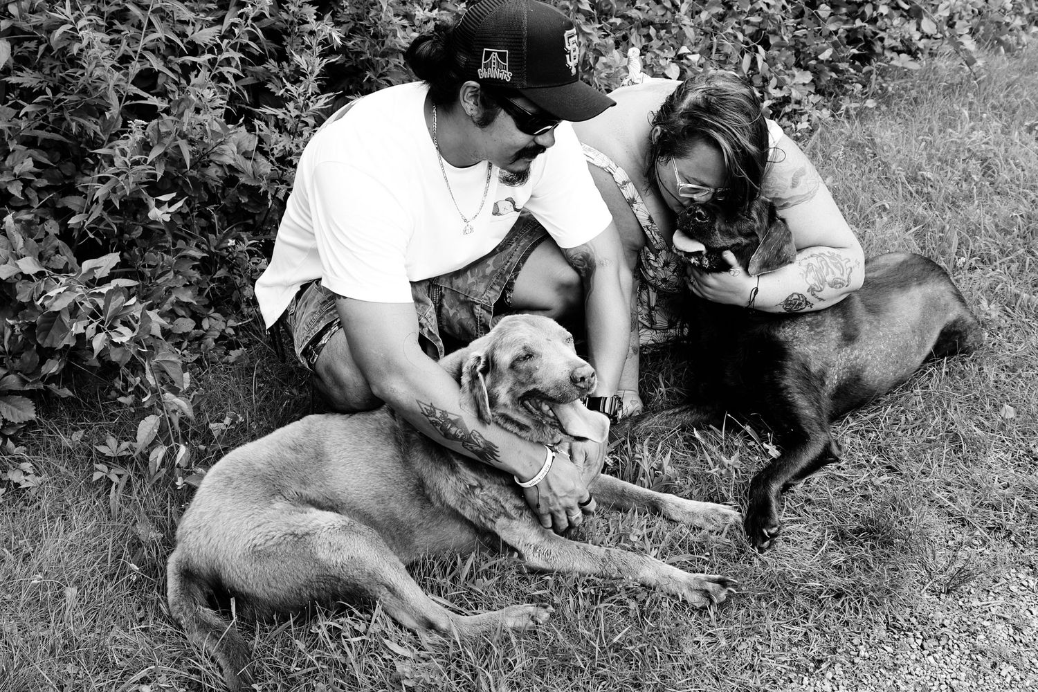 A sequence of black and white photos showing someone petting and interacting with a dog outdoors.