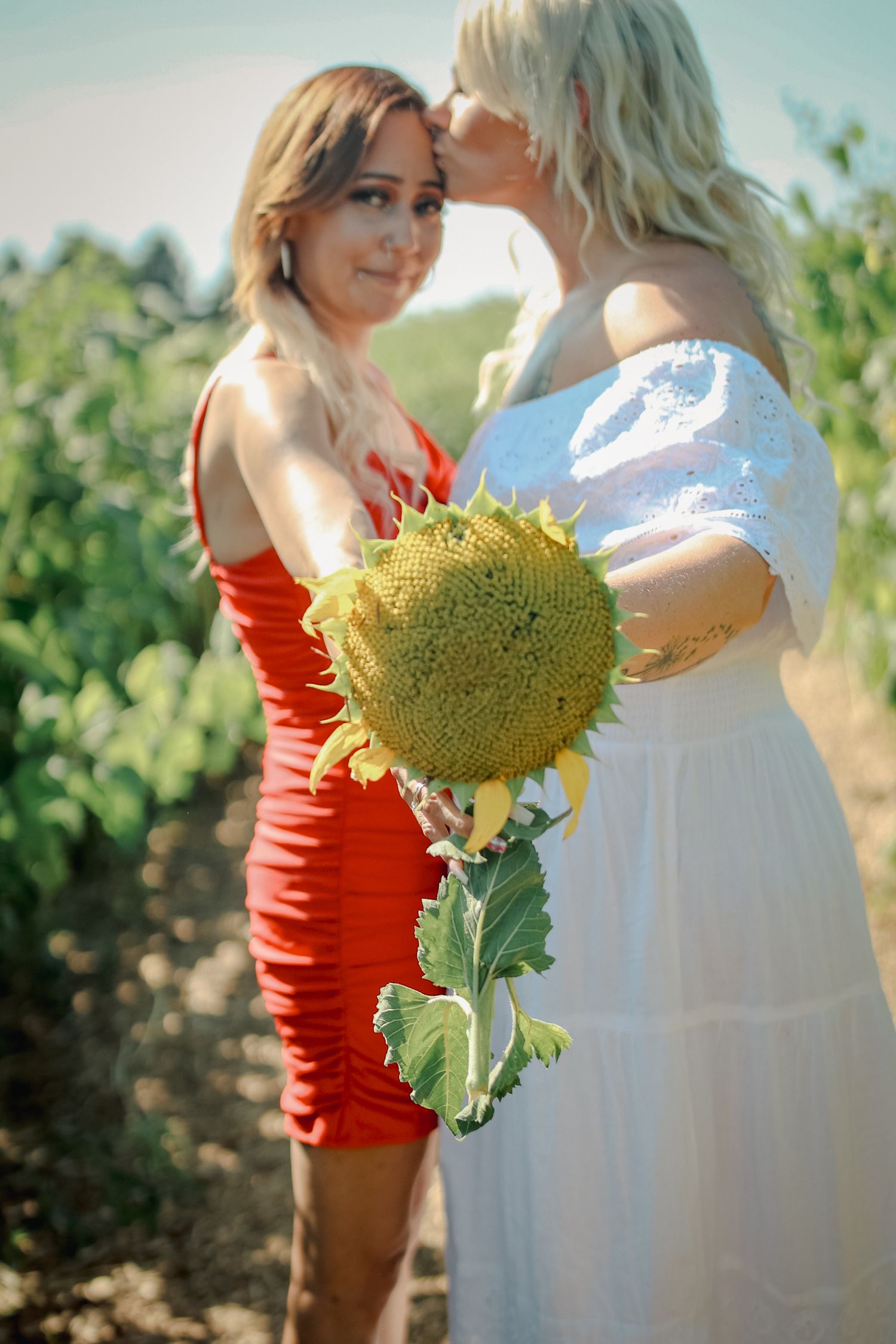Two people share an intimate moment in a sunflower field on a bright summer day.