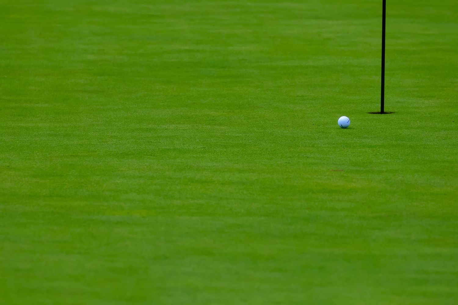 A white golf ball sits on a manicured green putting surface near a black flagstick.