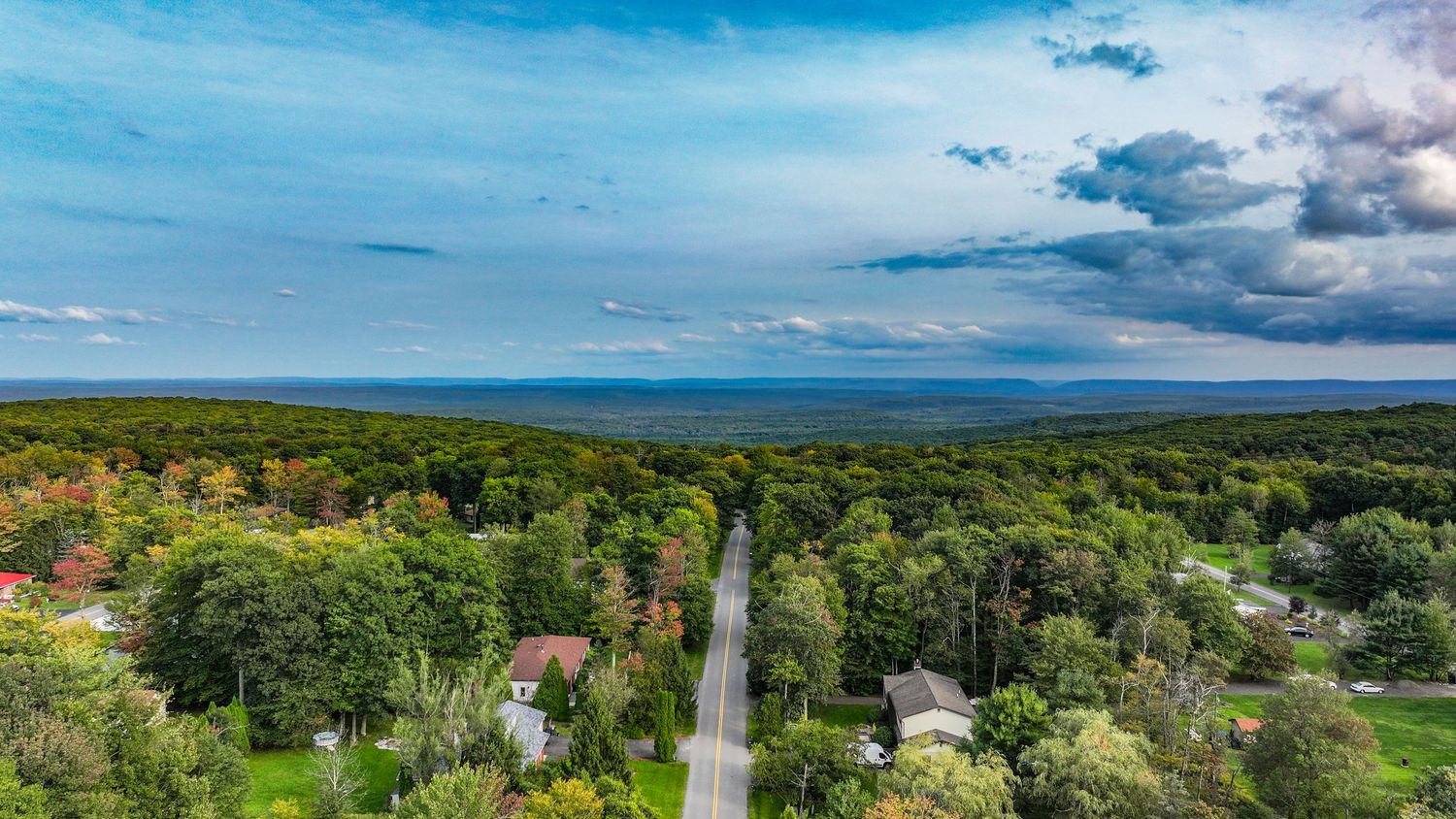 Aerial view of a tree-lined road stretching toward a vast lake horizon under dramatic blue skies with scattered clouds.