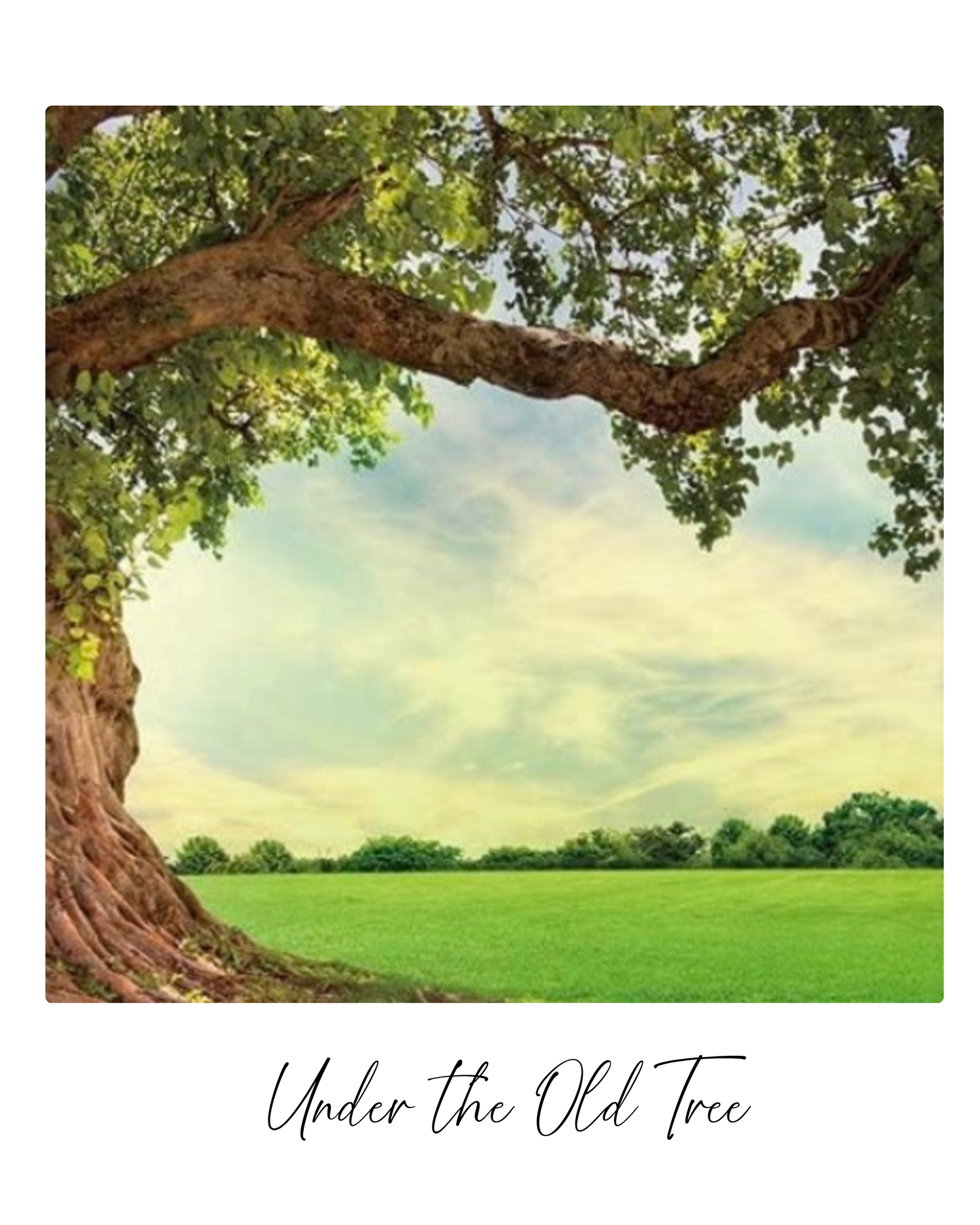 A massive old tree with sprawling branches frames a lush green meadow under a bright blue sky.