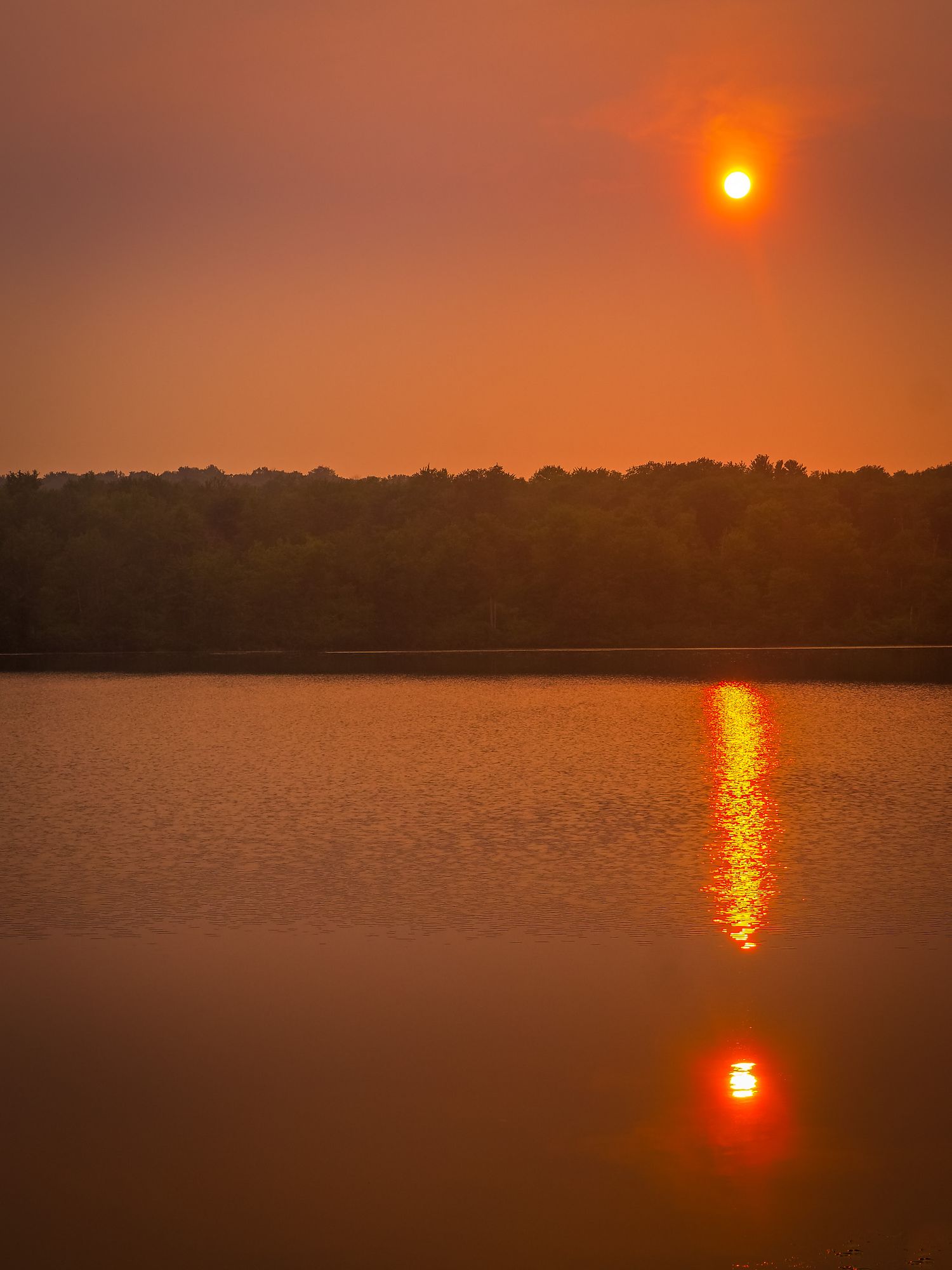 Vibrant orange sunset casts a glowing reflection across calm lake waters with silhouetted trees along the horizon.