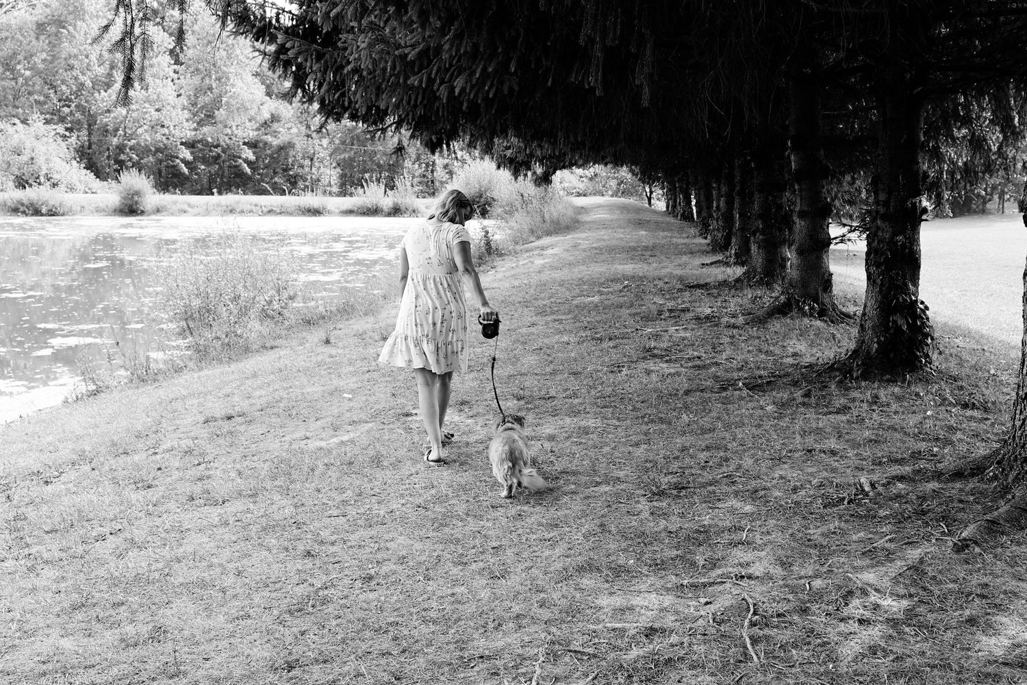 People walking along a scenic tree-lined path in a peaceful park setting on a sunny day.