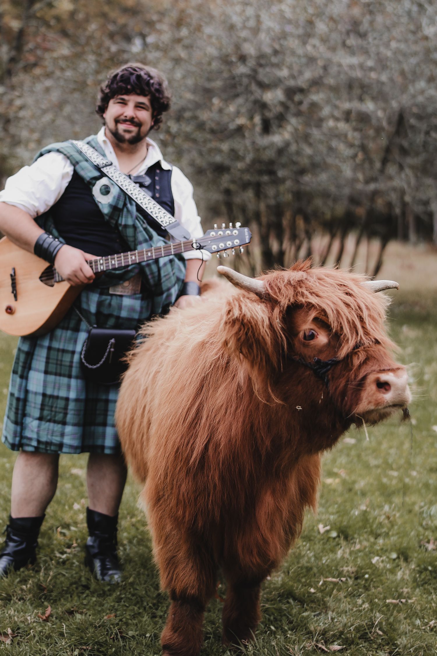 A musician in traditional Scottish attire plays guitar next to a Highland cow in a pastoral setting.