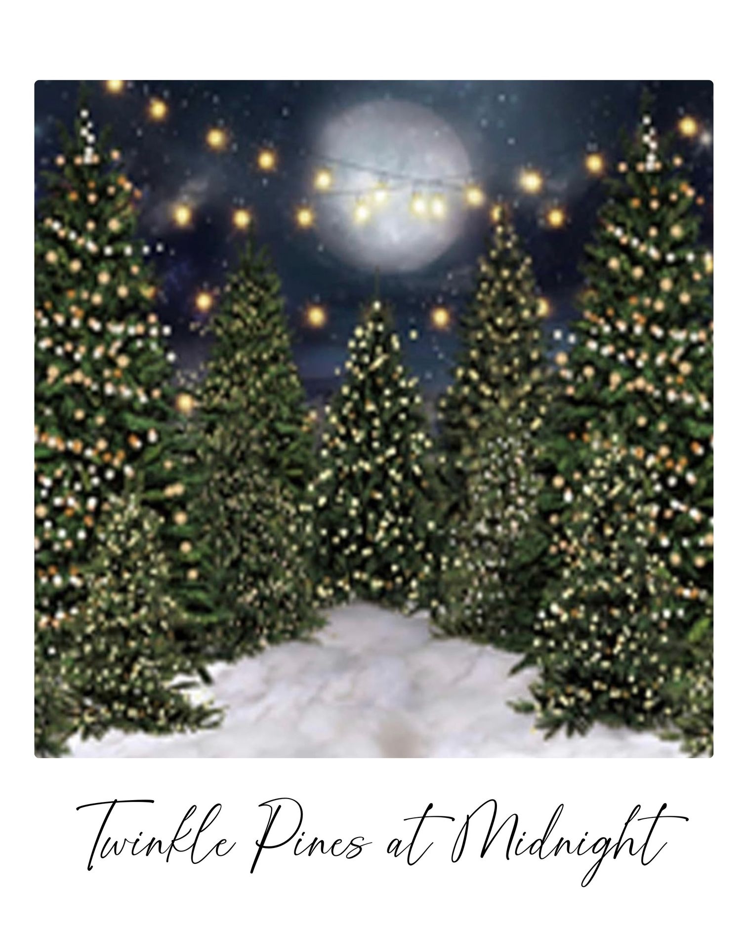 Illuminated Christmas trees in snow under twinkling string lights and a full moon at night.