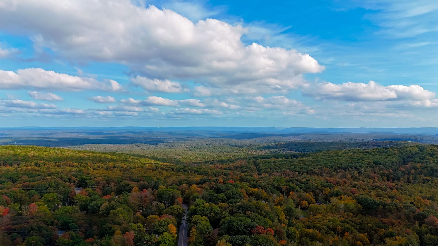 Aerial view of vast autumn forest with colorful foliage under a blue sky with fluffy white clouds.