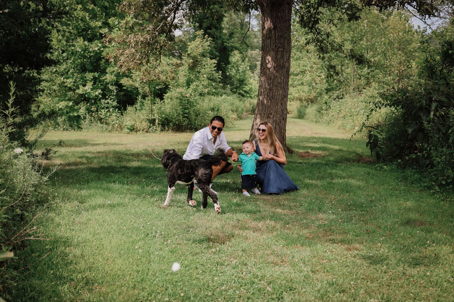 People enjoy a relaxing summer day picnicking in a lush green park setting surrounded by trees.