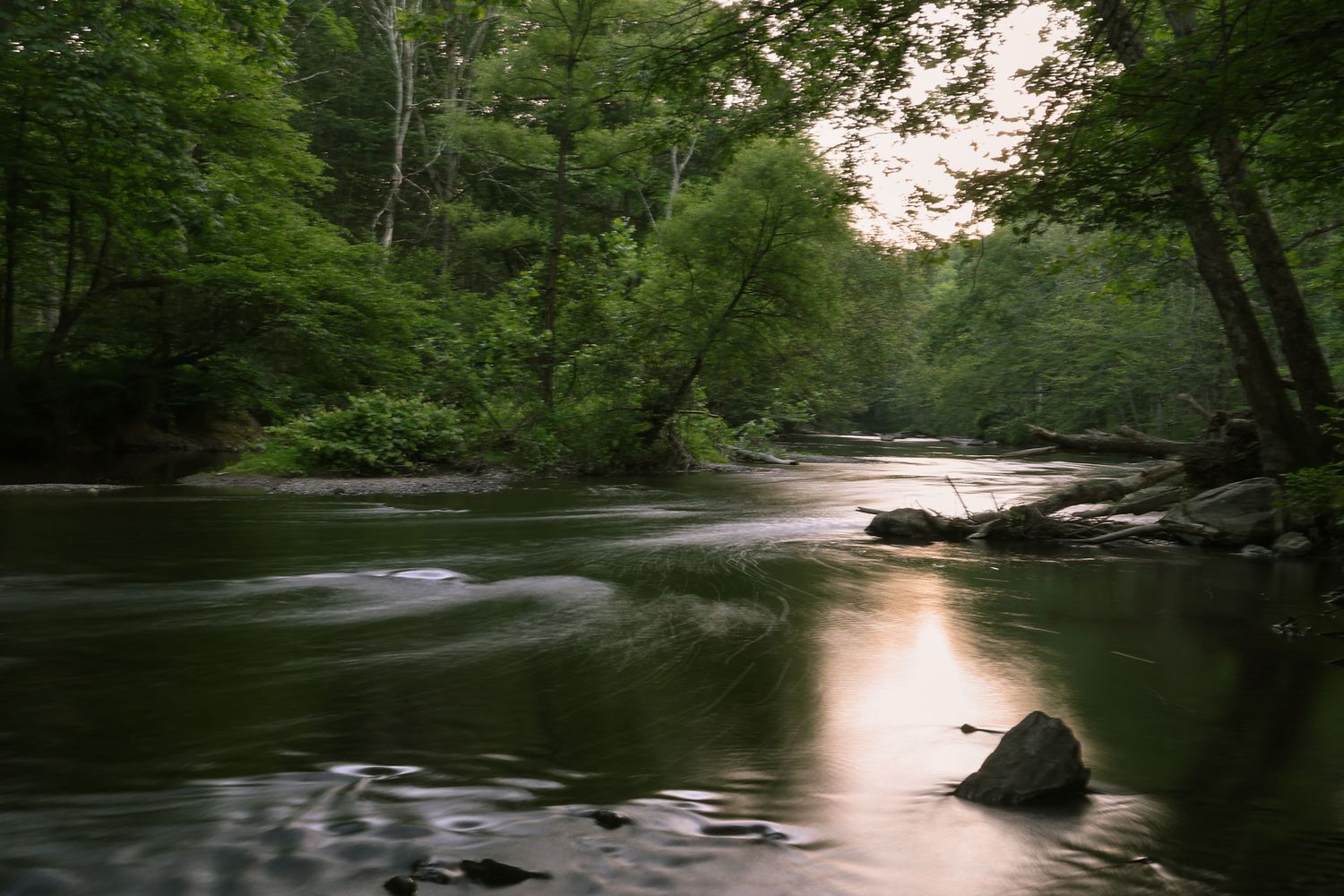 A serene river flows through a lush green forest at dusk, with rocks and calm reflective water.