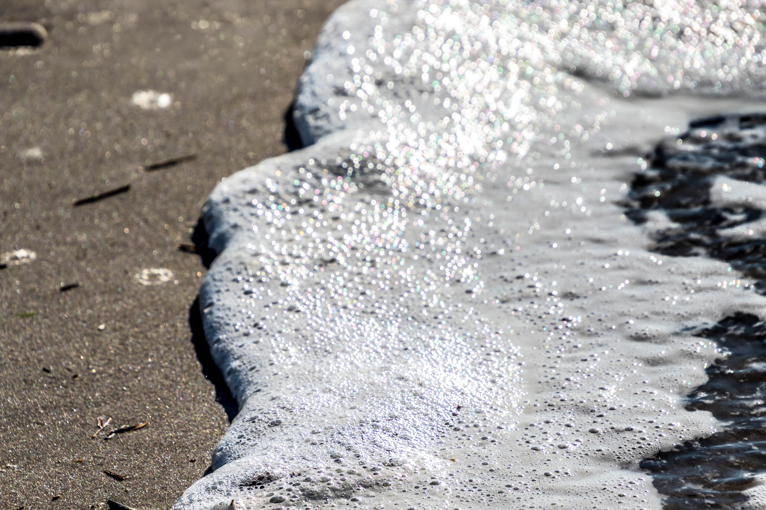 Foamy ocean wave washing over dark sandy beach shore in bright sunlight, close-up view of sea foam bubbles.