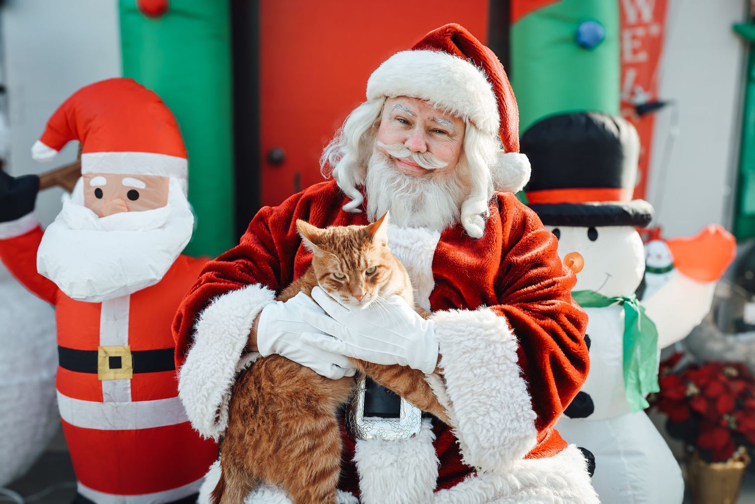 A ginger cat sits on Santa's lap with festive holiday decorations and inflatable characters in the background.