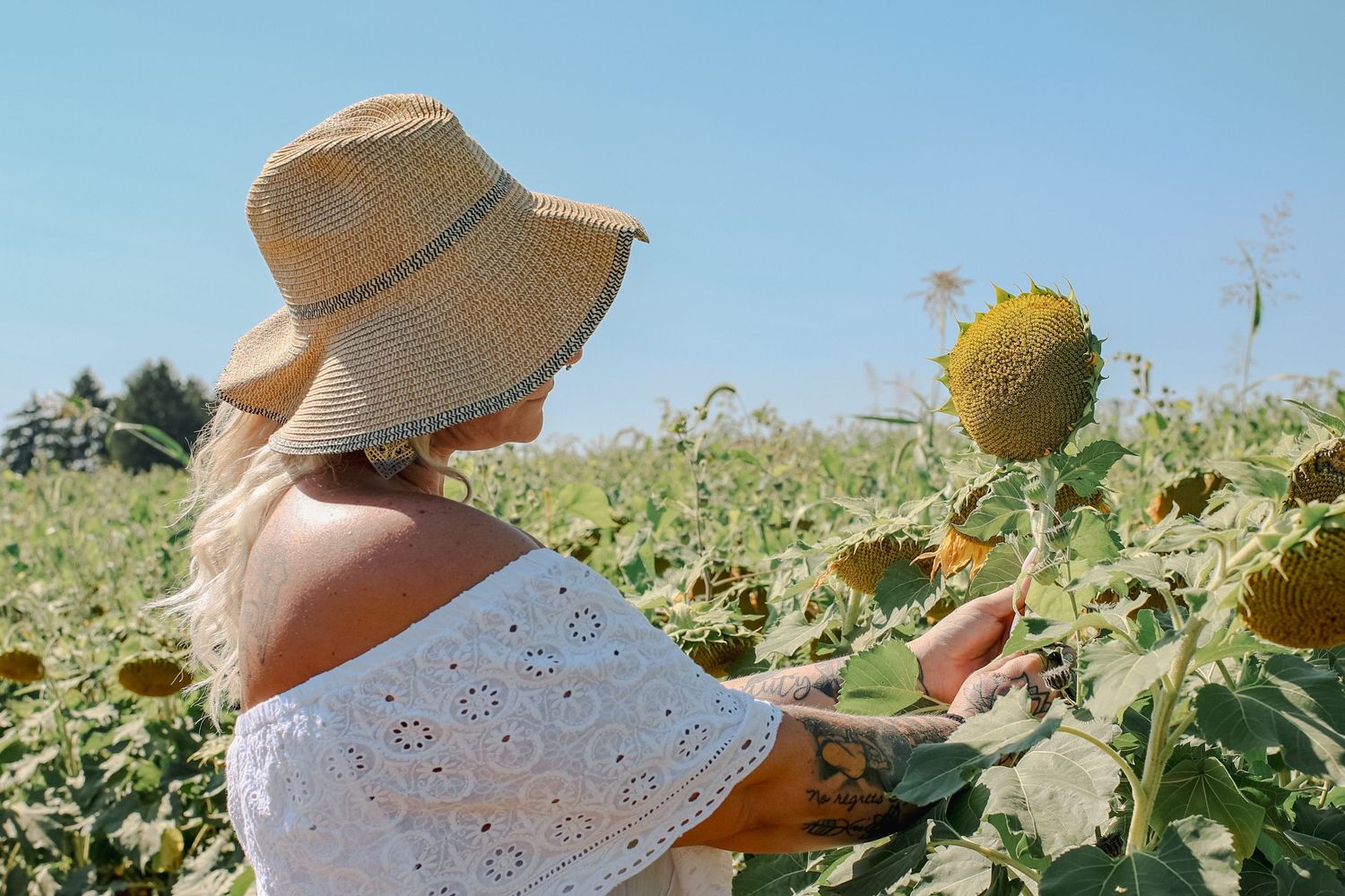 People wearing straw hats walk through a sunny sunflower field on a bright summer day.