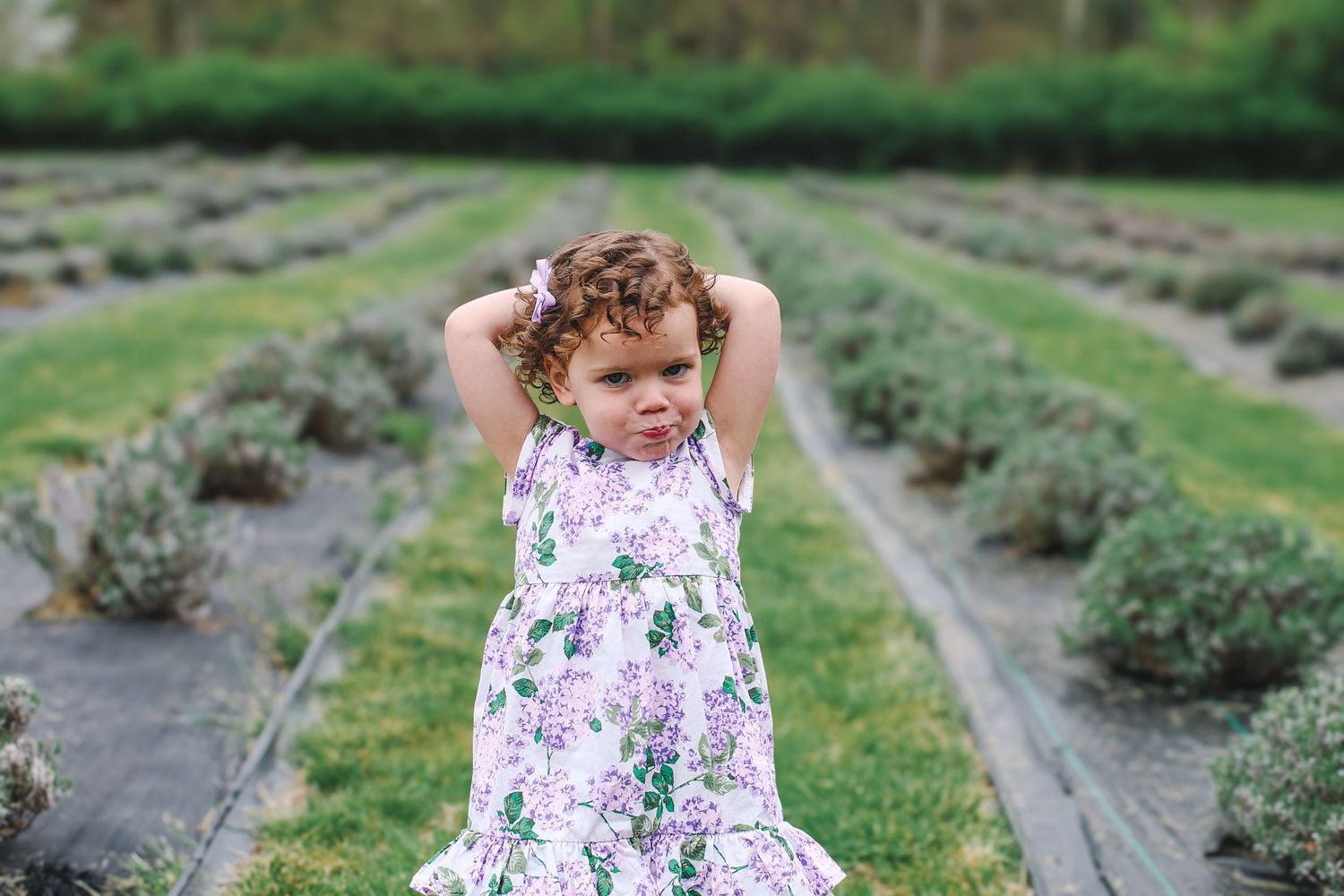 A floral dress-clad figure explores a lavender field with rows of purple blooms stretching into the distance.