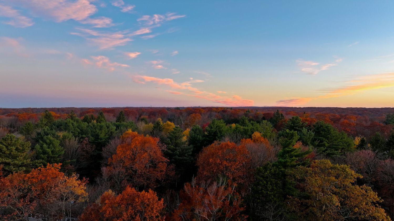 Panoramic sunset view of autumn trees and colorful fall foliage against a pink and orange sky.