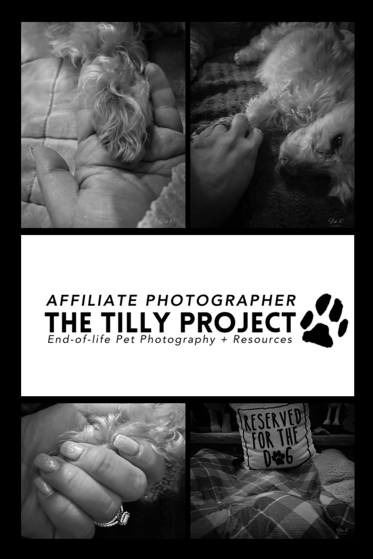 Black and white photo collage of pets with The Tilly Project branding and paw print logo.
