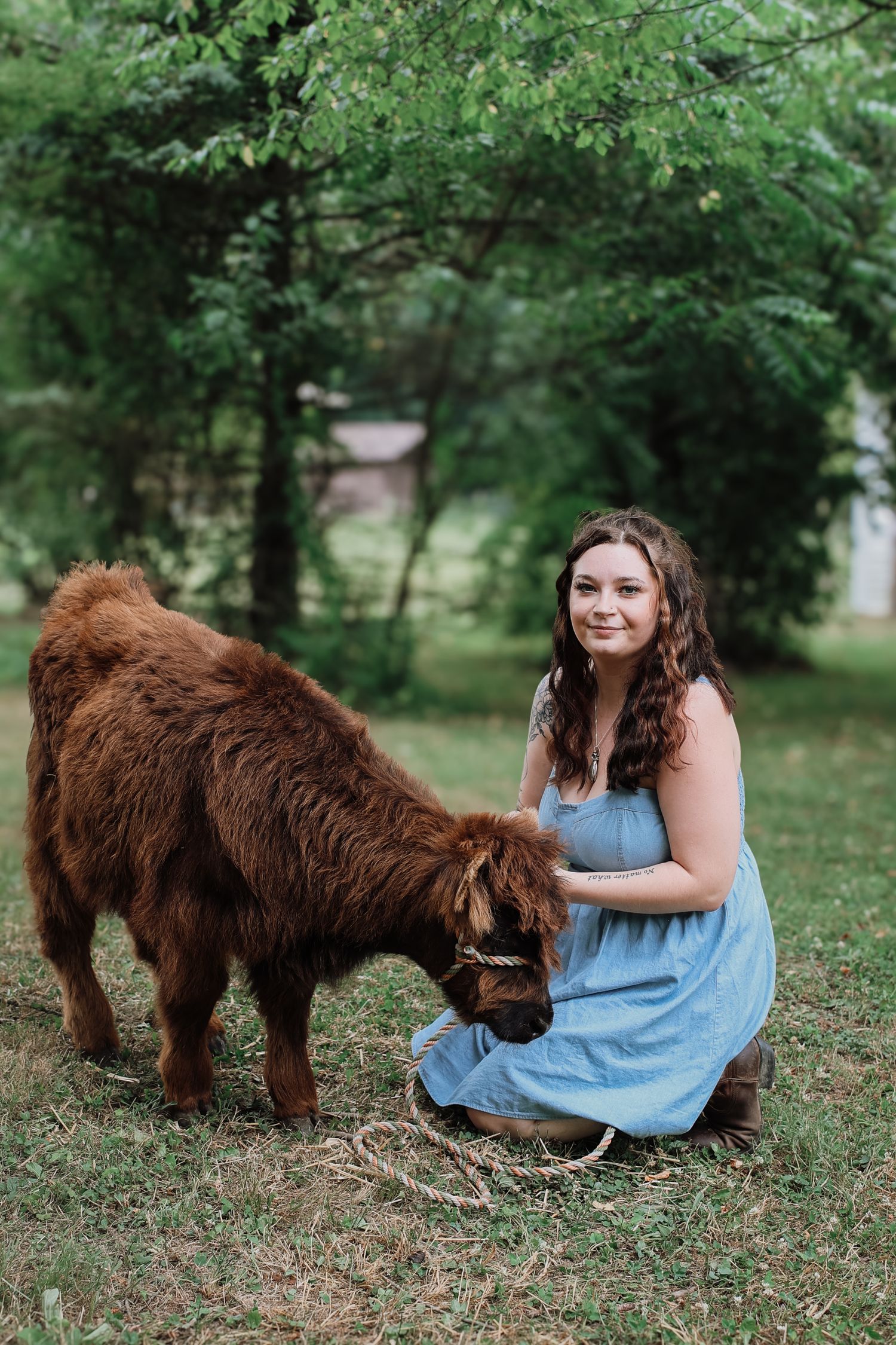 A person in a blue dress sits on grass while playing with a large brown dog in a series of candid outdoor photos.