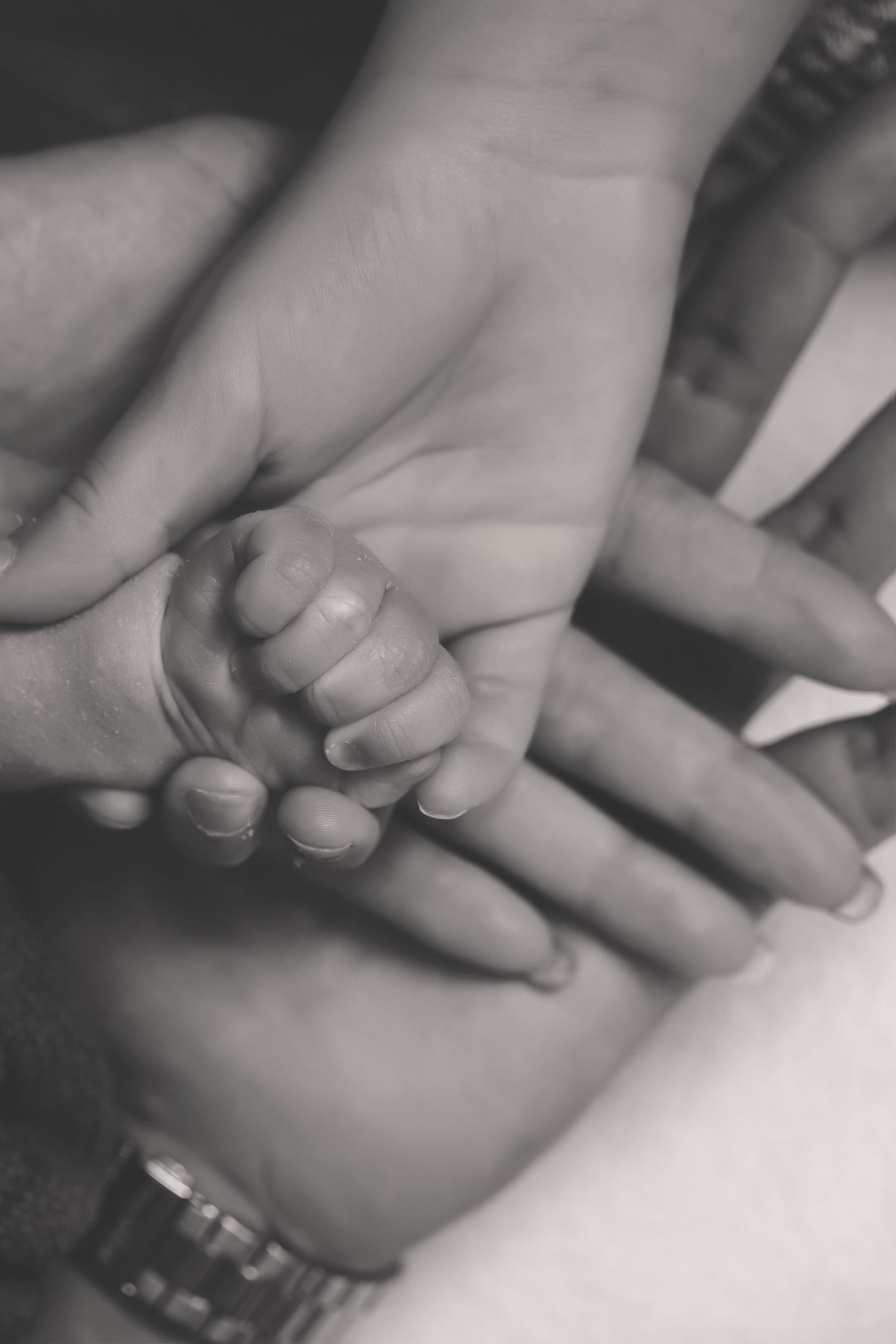 A close-up black and white photo of a tiny baby's hand gently holding an adult's finger.