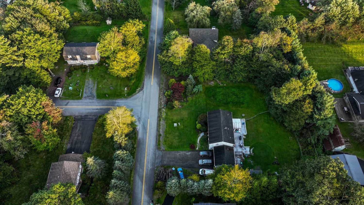 Aerial view of a lush suburban neighborhood with tree-lined streets, green lawns, and residential homes in summer.