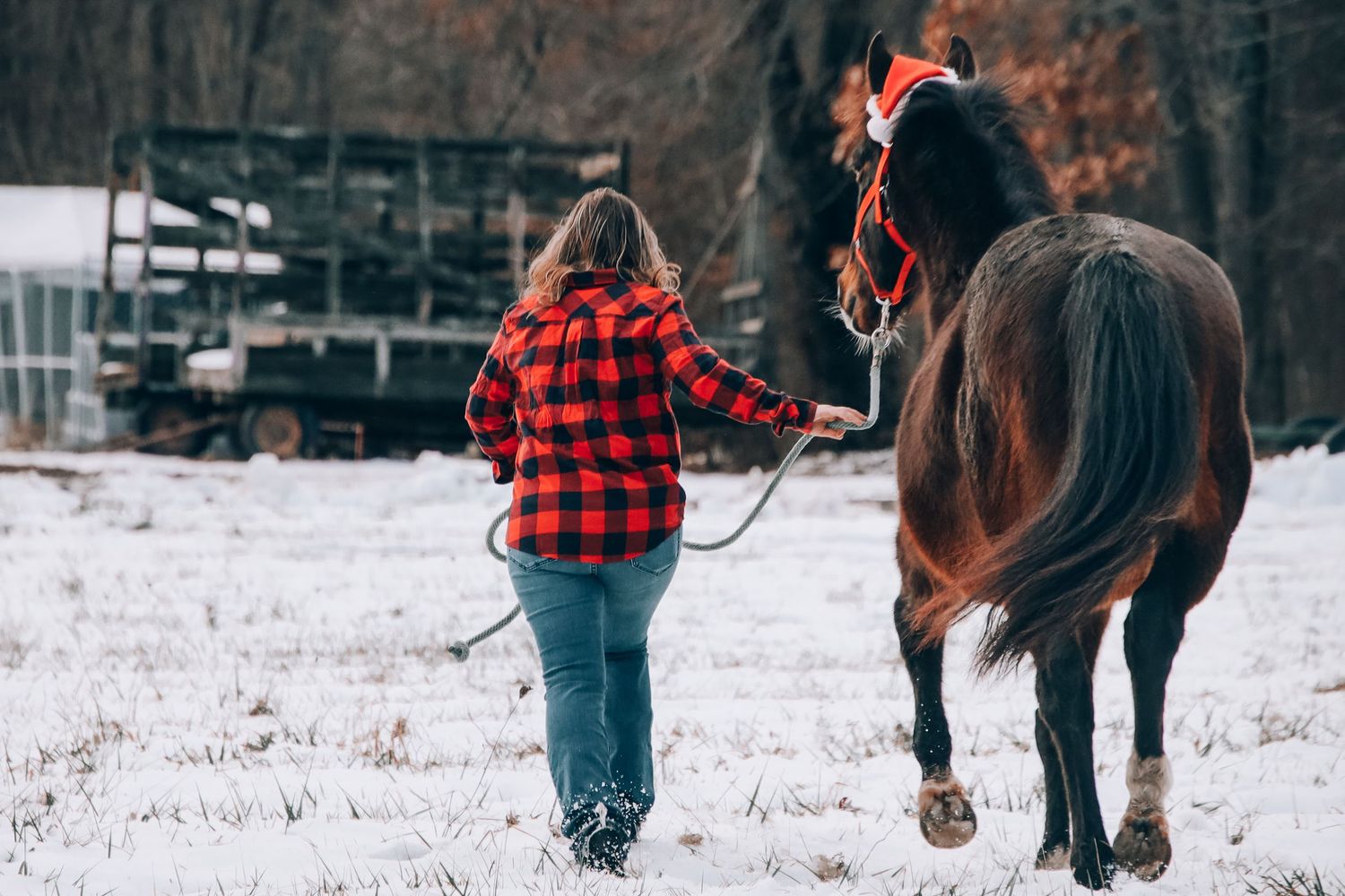 Person in red plaid flannel leads a brown horse through snowy winter landscape.