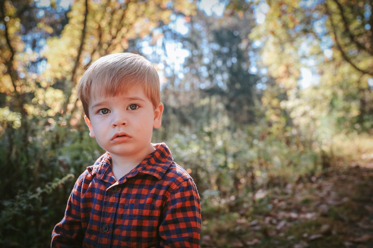 A child in a red plaid flannel shirt sits outdoors surrounded by autumn trees and golden sunlight.
