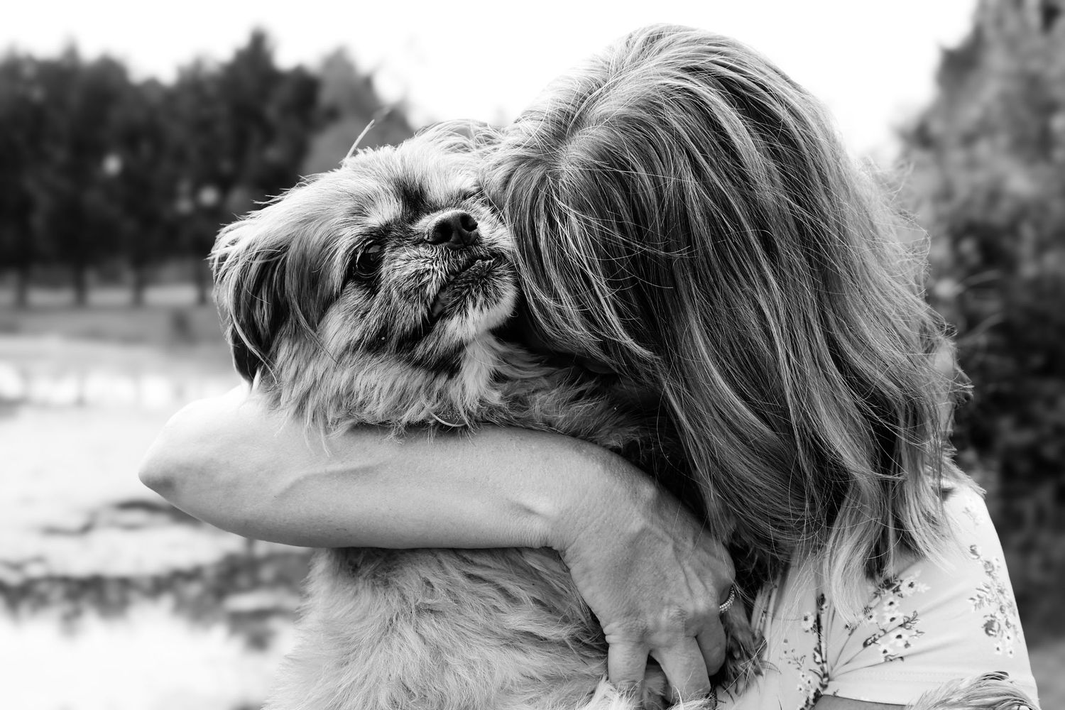A series of black and white photographs showing tender moments between a dog and its human companion.