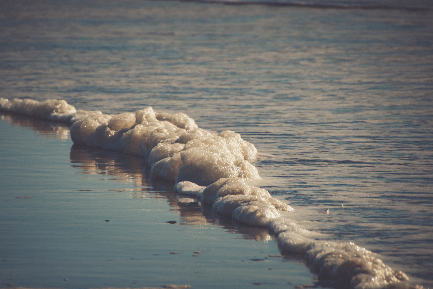Foamy white sea foam and ice crystals forming along a calm shoreline with soft blue water reflections.
