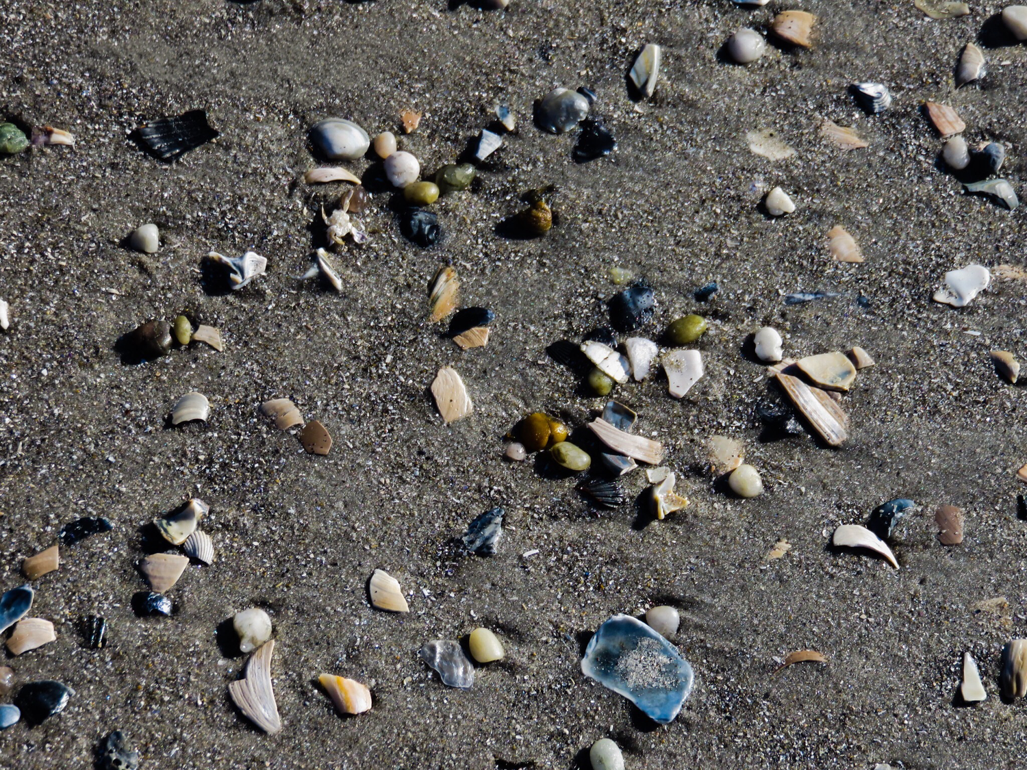 Various colorful pebbles and small rocks scattered on a sandy beach surface in natural daylight.