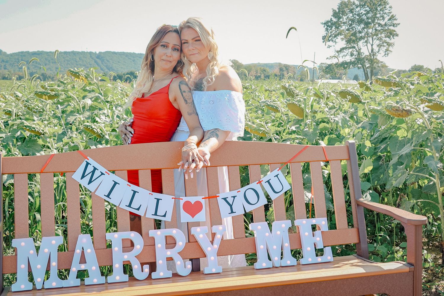 A wooden bench in a sunflower field displays 'Will You Marry Me' text banner for a romantic proposal setting.