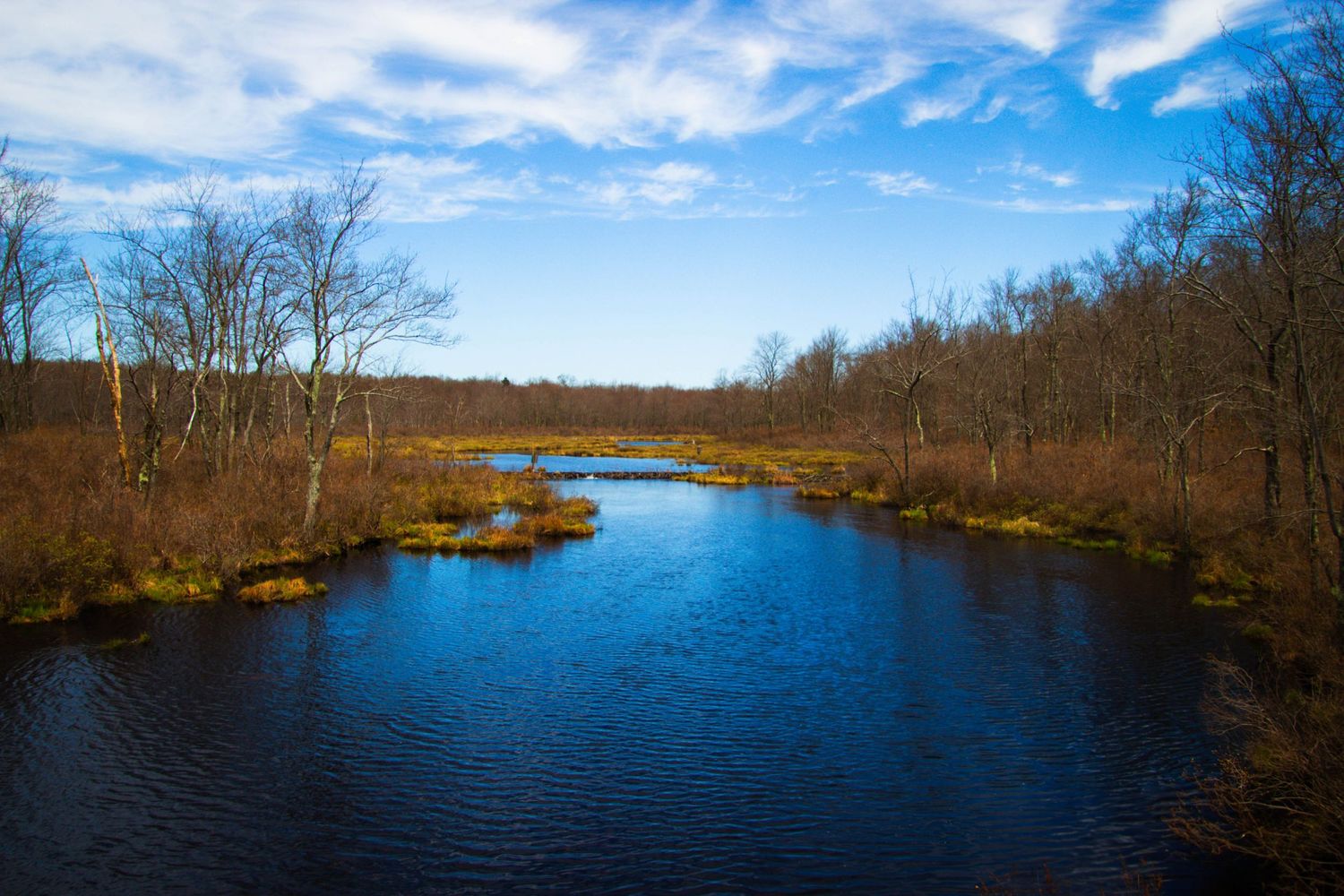 A winding blue river flows through autumn wetlands with bare trees and scattered marsh grasses under a bright cloudy sky.