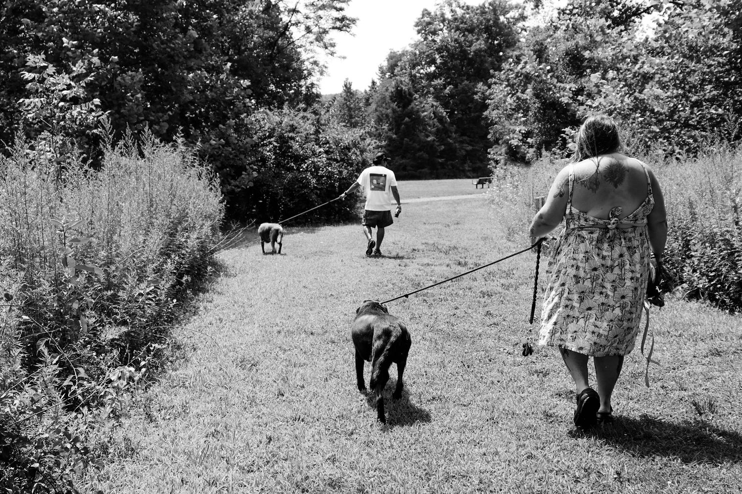 People and dogs walking along a scenic nature trail path surrounded by lush vegetation in black and white photography.