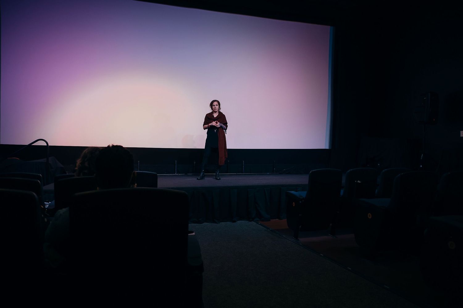 A speaker stands on stage before a large illuminated screen in a dimly lit auditorium with seated audience members.