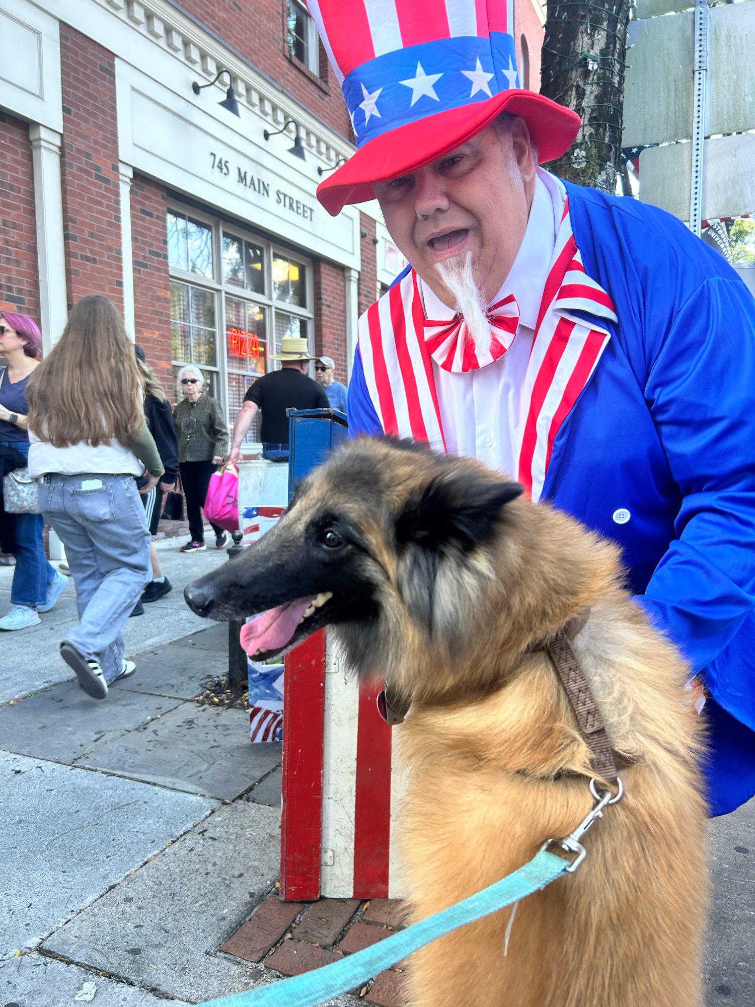 A fluffy Belgian Tervuren dog on a leash stands on a city sidewalk next to someone wearing patriotic American attire.